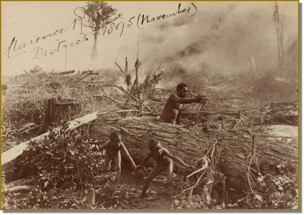 Aboriginal 1895-Cutting-The-Forest