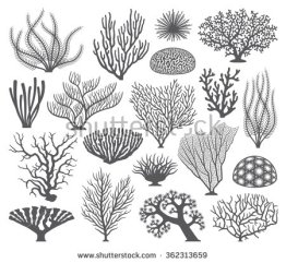 stock-vector-collection-of-many-different-coral-and-coral-formations-vector-silhouettes-362313659
